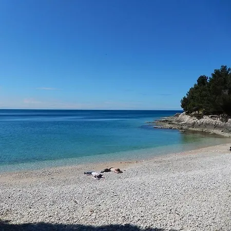 Floor Modern With Incredible Views