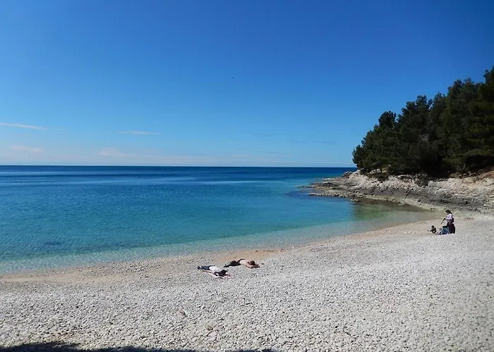 Floor Modern With Incredible Views